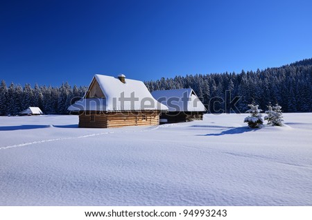 Wooden chalets in winter in Chocholowska valley in Tatra Mountains