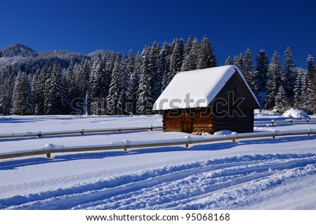 Wooden chalet in winter in Zakopane - Tatra Mountains