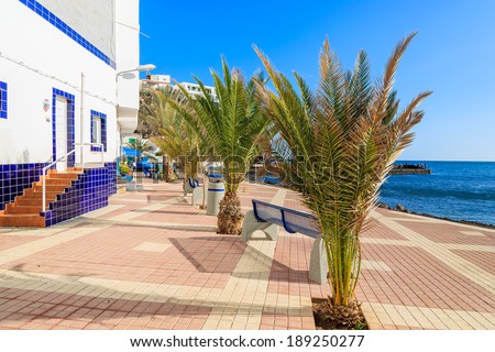 Promenade with palm trees along ocean in fishing village Las Playitas on southern coast of Fuerteventura, Canary Islands, Spain