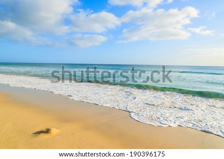 Sea wave on idyllic empty beach on Jandia peninsula in warm afternoon light, Morro Jable, Fuerteventura, Canary Islands, Spain