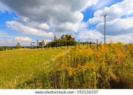 Yellow flowers on field in farming landscape of Jerzmanowice village near Krakow, Poland