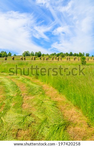 Freshly cut grass on green meadow in summer landscape, Gliczarow Gorny, Tatra Mountains, Poland