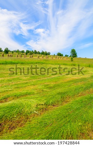 Freshly cut grass on green meadow in summer landscape, Podhale, Tatra Mountains, Poland