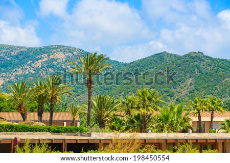 Palm trees and roofs of holiday houses in mountains of Sardinia island near Chia, Italy