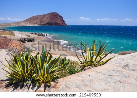 View of La Tejita beach and El Medano mountain, Tenerife, Canary islands, Spain