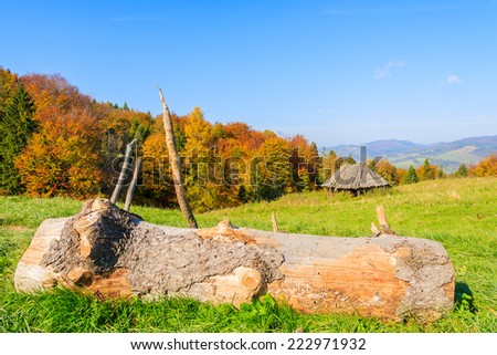 Tree trunk on green meadow with mountain hut in background on sunny autumn day, Pieniny Mountains, Poland
