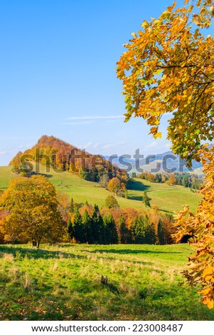 Autumn color leaves and green hills in Pieniny Mountains near Szczawnica on sunny autumn day, Poland