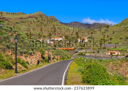 Road to Targa village in mountain tropical landscape of La Gomera island, Spain