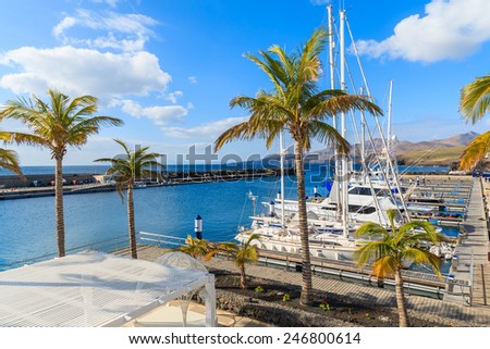 Palm trees in Puerto Calero marina built in Caribbean style, Lanzarote island, Spain