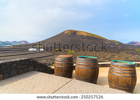 Wine oak barrels on terrace of winery in La Geria, Lanzarote, Canary Islands, Spain