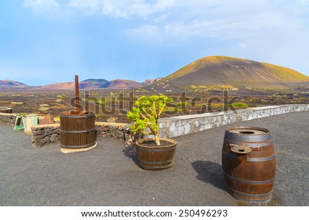 Wine oak barrels on black volcanic soil in La Geria winery, Lanzarote, Canary Islands, Spain