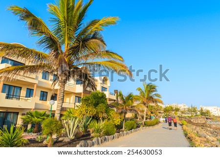 Palm trees and hotel buildings along coastal promenade in Playa Blanca village, Lanzarote, Canary Islands, Spain
