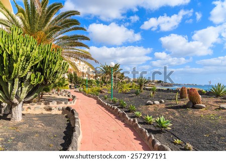 Walking alley along ocean in Playa Blanca village, Lanzarote, Canary Islands, Spain