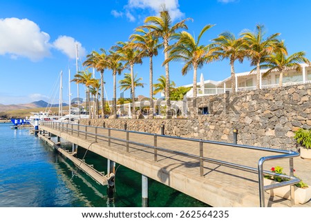 Palm trees in Caribbean style port for yacht boats, Puerto Calero, Lanzarote island, Spain