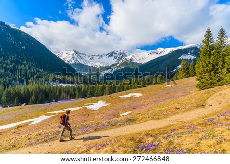 Young woman tourist walking on hiking path in Chocholowska valley in spring season, Tatra Mountains, Poland
