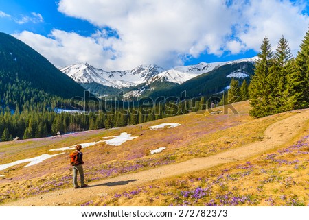 Young woman tourist standing on hiking path in Chocholowska valley in spring season, Tatra Mountains, Poland