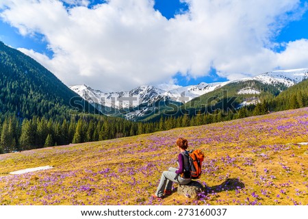 Young woman tourist sitting on mountain meadow with crocus flowers blooming, Chocholowska valley, Tatra Mountains, Poland