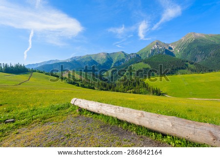 Wood log on green meadow with blooming flowers in summer landscape of Tatra Mountains, Slovakia