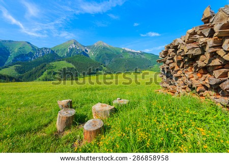 Logs of fire wood on green meadow with blooming flowers in summer landscape of Tatra Mountains, Slovakia