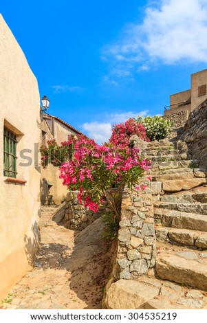 Old houses decorated with flowers in narrow walking alley in typical Corsican mountain village of Sant Antonino, Corsica island, France
