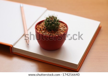 Cactus and pencil put on the book on the wooden table