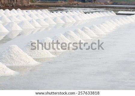 Salt pile in salt farm