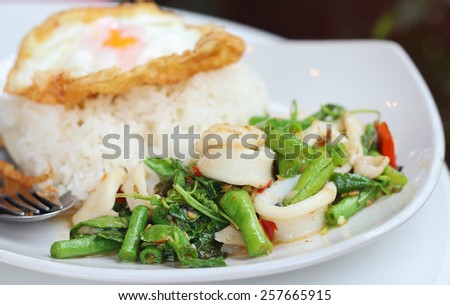 Thailand food, Basil fried squid and fried egg, Kapoa Kai and fried egg are the popular menu of Thai