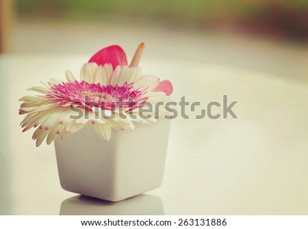 Flower in vase, White Gerbera in white vase, Placed on a white table  at the window, soft focus and blurred background, vintage tone