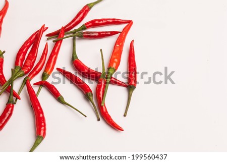 Chili /Red chili /Hot red chili /Spicy red chili