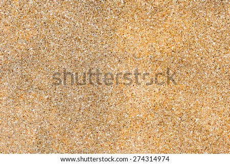 Sand floor background.