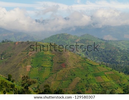 Small scale agriculture in the mountains round the Ella Cap of Sri Lanka