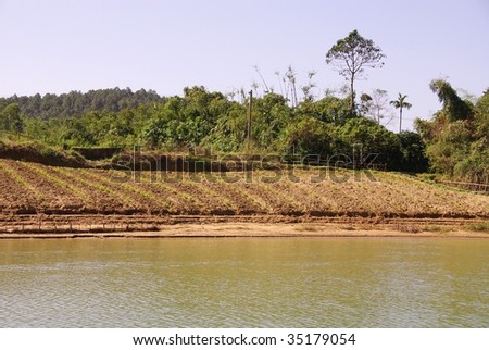 Agriculture at the waterfront of the perfume river in Vietnam