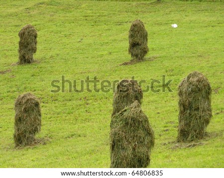 Hay stack after collecting dry grass