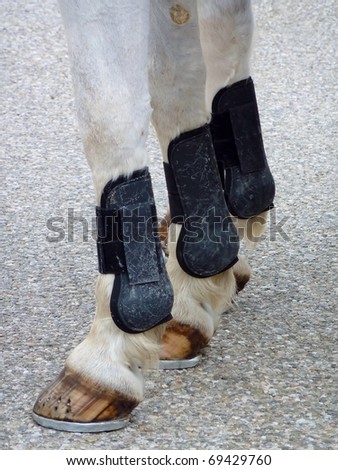 The legs of a horse with horseshoes