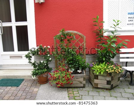 A street garden with plants and flowers in containers and pots in the city