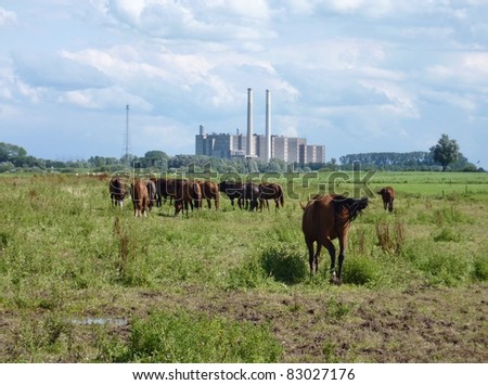 The power station of Harculo at the IJssel river in the Netherlands with horses in a meadow in front