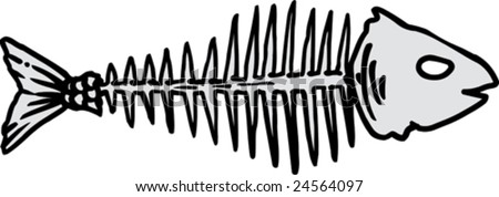 Vector Fish Bones On White Background - 24564097 : Shutterstock