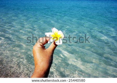White flower in female hand and sea as background