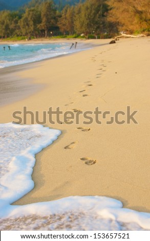 Foot steps are washed away by the surf of a rising tide on a sunset beach with trees in the background.