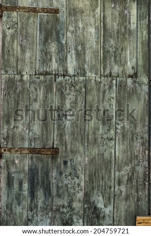 An old green painted vintage wooden door with woodworm holes and rusty hinges