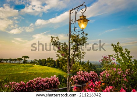 Lamp, Flowers, green weeds, leaves, plants and trees on colorful sunset on vineyards backgrounds on cultivated hills in Italian countryside the small village of Dozza near Bologna in Emilia Romagna