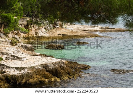 Sea view near Porec in Croatia: green trees, orange rocks and crystal waters