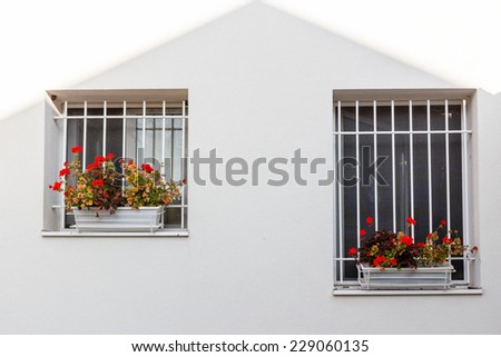 White iron grate  windows with red geraniums flower pots and white wall