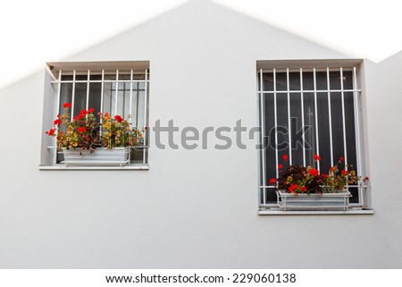 White iron grate  windows with red geraniums flower pots and white wall