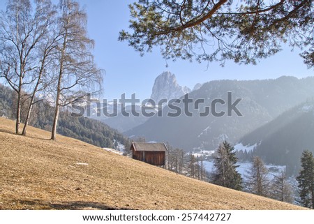 Mountain lodge on brownish orange grass in valley of pine forests and snow-capped peaks in winter