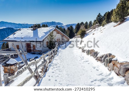 panorama of the Dolomites with wood cottage,  snow-capped peaks and green conifers