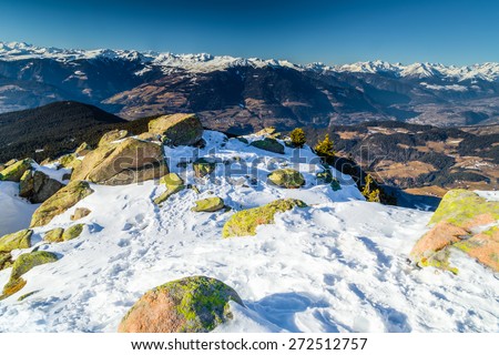 White snowy Dolomites mountains with rocks, snow-capped peaks and green conifers in winter