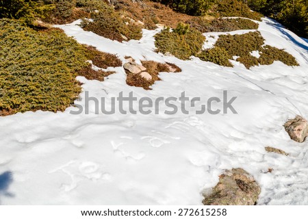 Je t\'aime, French sentence written in capital letters on frozen white snow while brown weeds and moss in the foreground