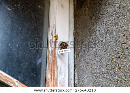 Abandoned beehive with hanging for rent sign as  a house for rent