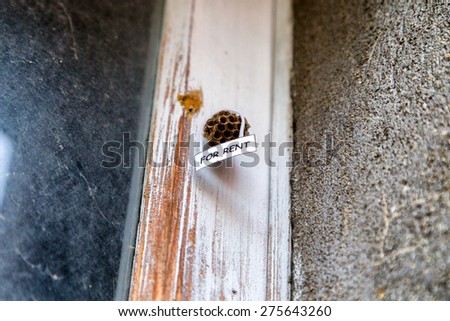 Abandoned beehive with hanging for rent sign as  a house for rent